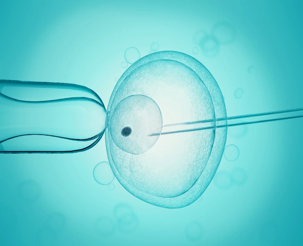 ivf process