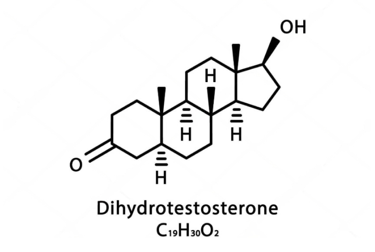 Dihydrotestosterone