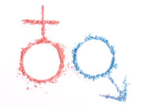 Male and Female Fertility